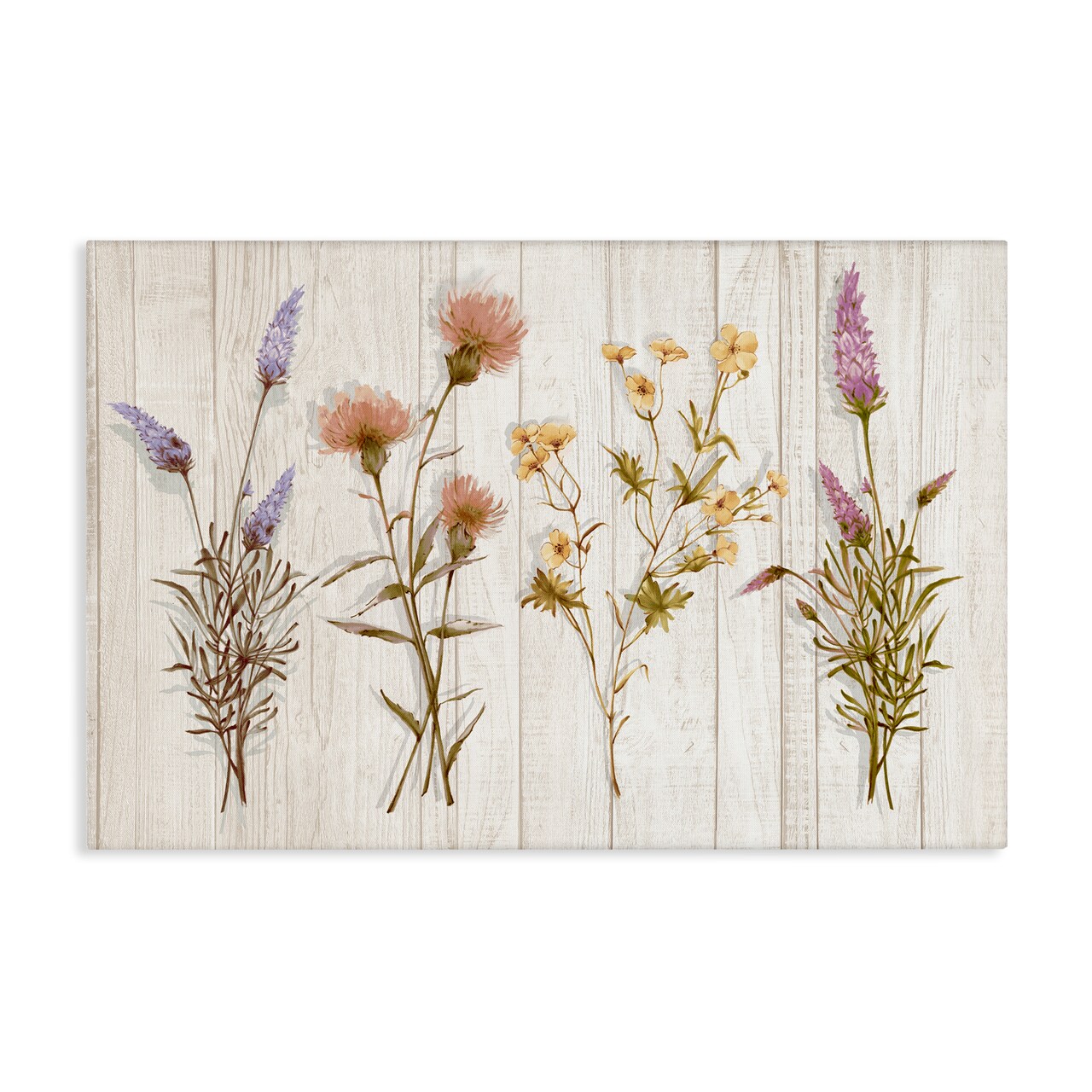 Stupell Industries Wild Flower Sprigs Canvas Wall Art Design by Alex Black